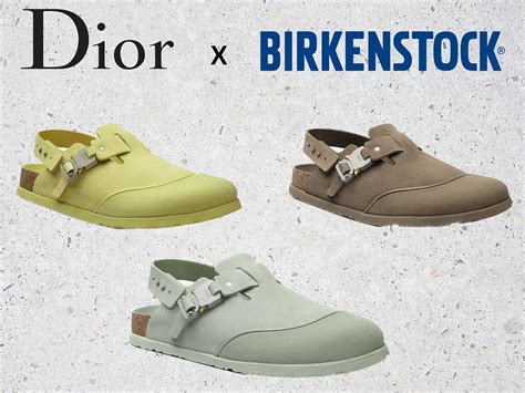 dior colar|Dior birkenstock price.